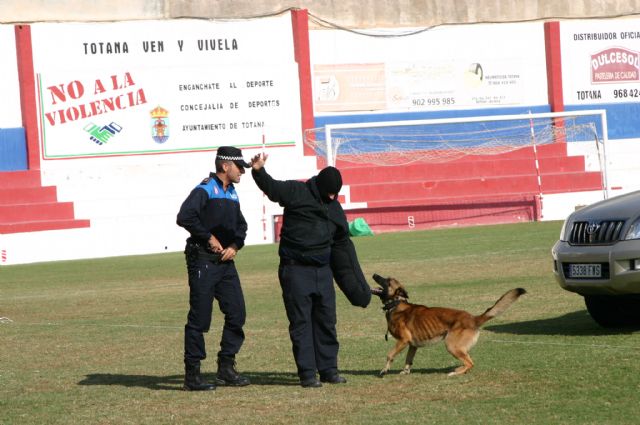 Fotoagrafía relacionada con la noticia, 