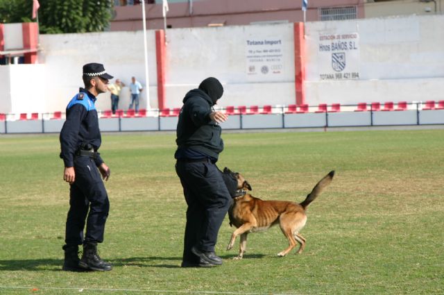 Fotoagrafía relacionada con la noticia, 