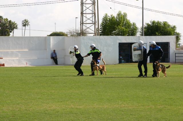 Fotoagrafía relacionada con la noticia, 