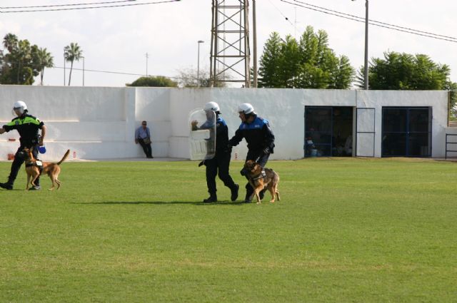 Fotoagrafía relacionada con la noticia, 