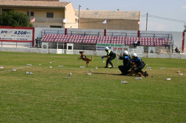 Fotoagrafía relacionada con la noticia, 