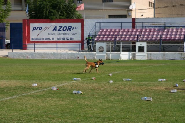 Fotoagrafía relacionada con la noticia, 