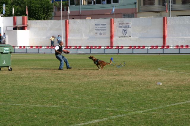 Fotoagrafía relacionada con la noticia, 