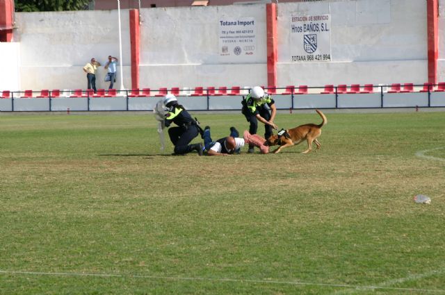 Fotoagrafía relacionada con la noticia, 