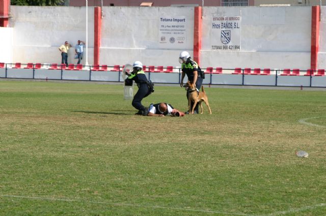Fotoagrafía relacionada con la noticia, 