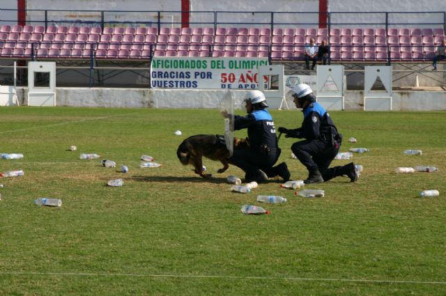 Fotoagrafía relacionada con la noticia, 