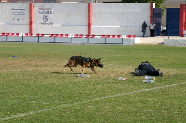 Fotoagrafía relacionada con la noticia, 