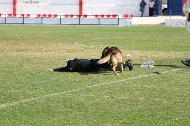 FotoagrafÃ­a relacionada con la noticia, 