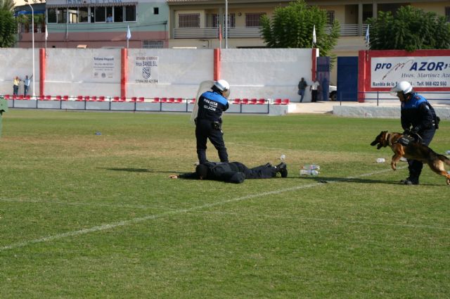 Fotoagrafía relacionada con la noticia, 