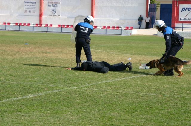 Fotoagrafía relacionada con la noticia, 