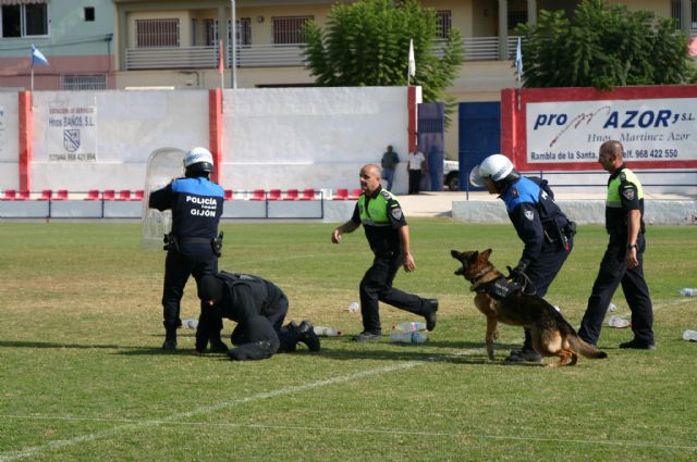 Fotoagrafía relacionada con la noticia, 