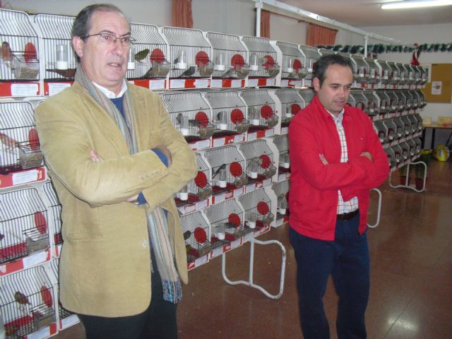 Fotoagrafía relacionada con la noticia, 