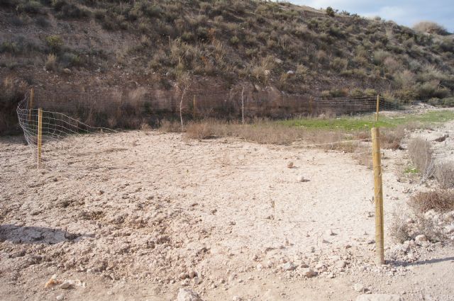 Fotoagrafía relacionada con la noticia, 