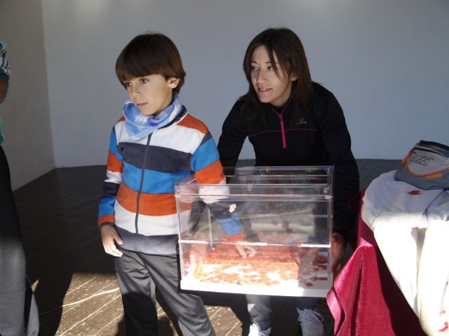 Fotoagrafía relacionada con la noticia, 