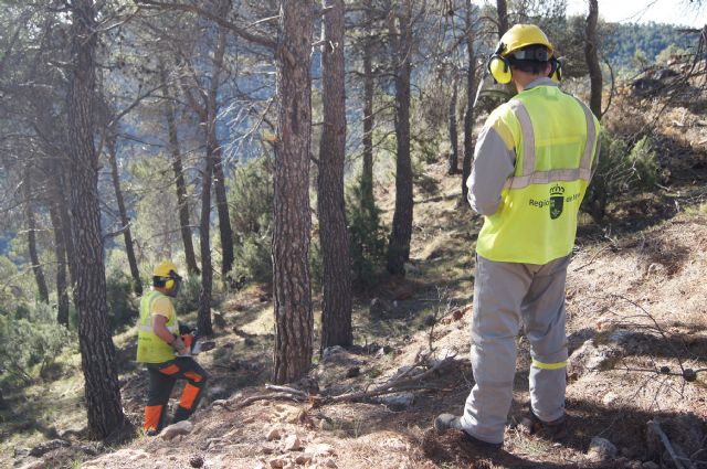 Fotoagrafía relacionada con la noticia, 