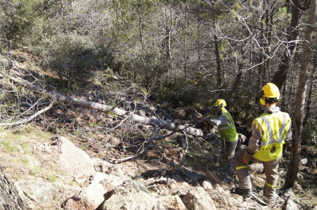 Fotoagrafía relacionada con la noticia, 