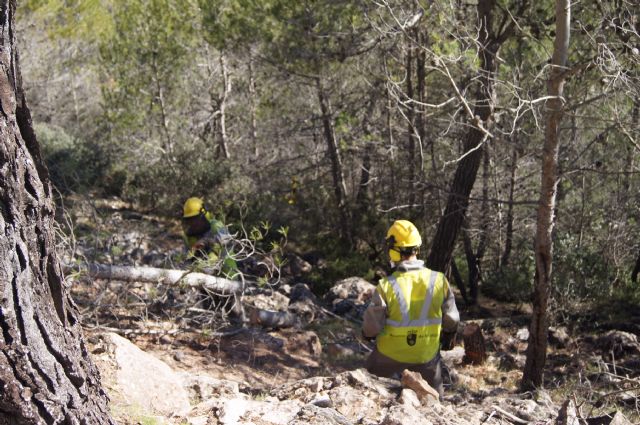 Fotoagrafía relacionada con la noticia, 