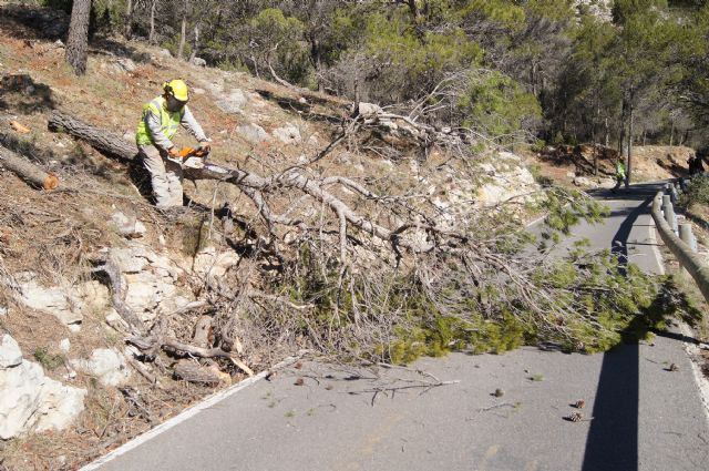 Fotoagrafía relacionada con la noticia, 