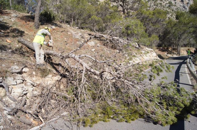 Fotoagrafía relacionada con la noticia, 
