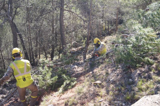 Fotoagrafía relacionada con la noticia, 