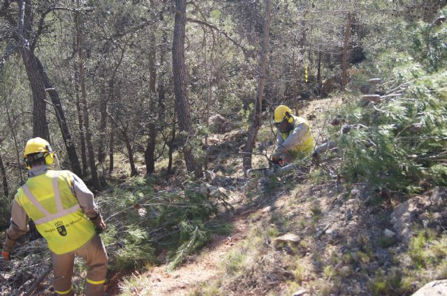 Fotoagrafía relacionada con la noticia, 