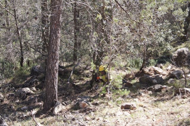 Fotoagrafía relacionada con la noticia, 