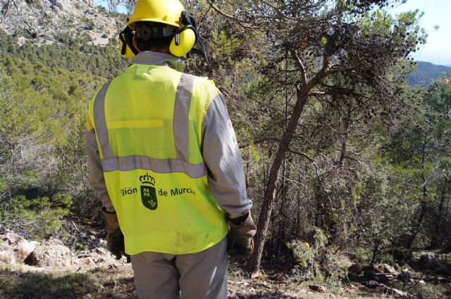 Fotoagrafía relacionada con la noticia, 