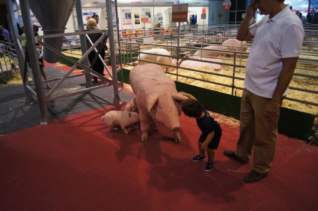 Fotoagrafía relacionada con la noticia, 