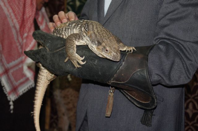 Fotoagrafía relacionada con la noticia, 