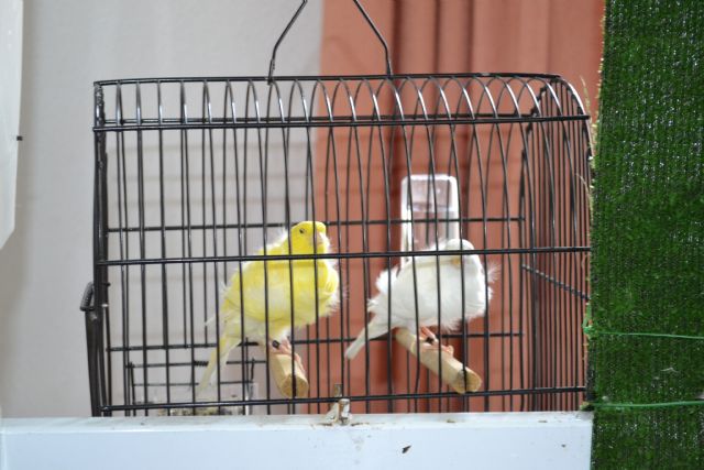 Fotoagrafía relacionada con la noticia, 