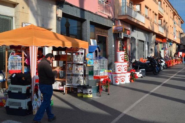 Fotoagrafía relacionada con la noticia, 