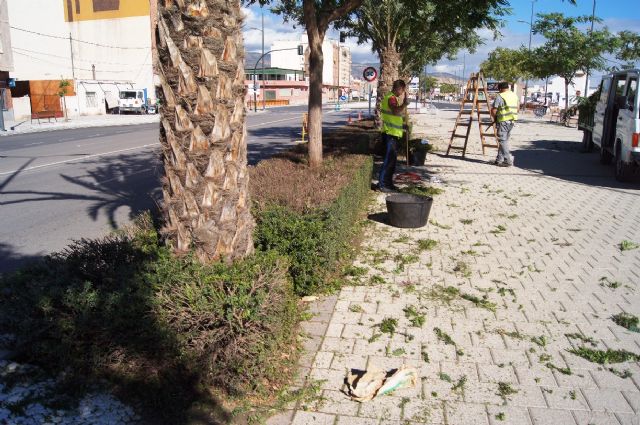 Fotoagrafía relacionada con la noticia, 