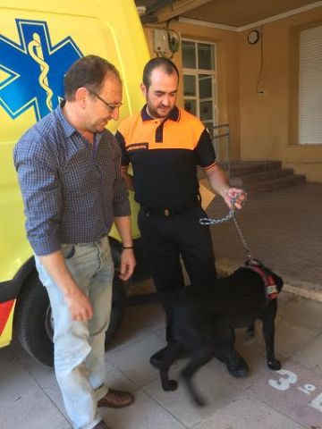 Fotoagrafía relacionada con la noticia, 
