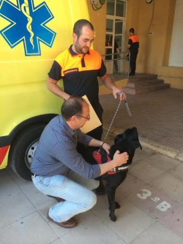 Fotoagrafía relacionada con la noticia, 