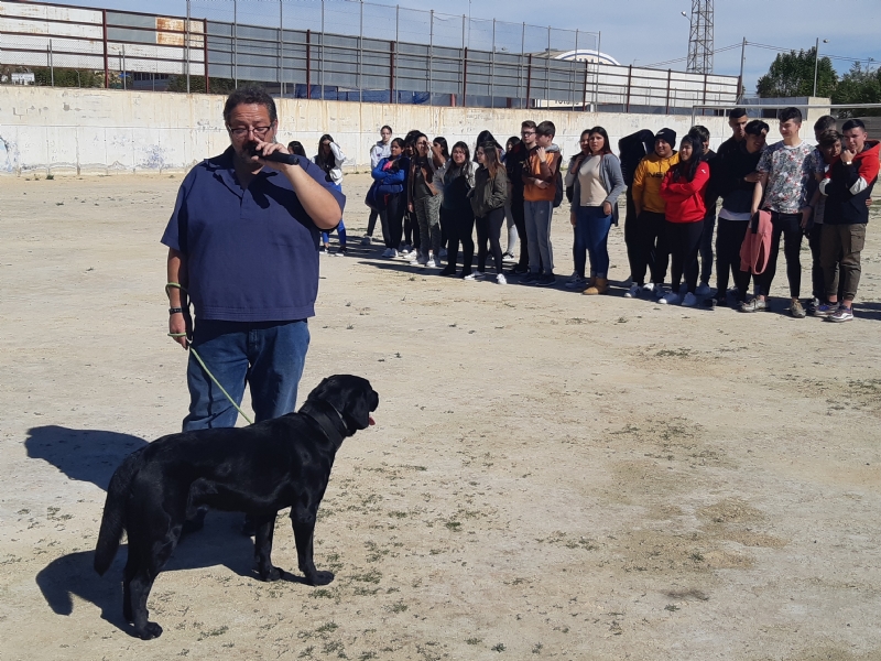 Fotoagrafía relacionada con la noticia, 