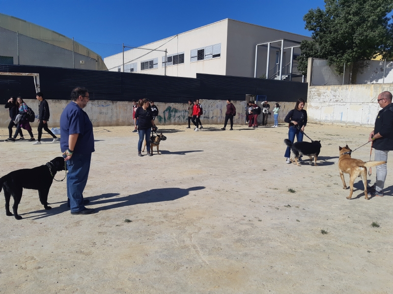 Fotoagrafía relacionada con la noticia, 