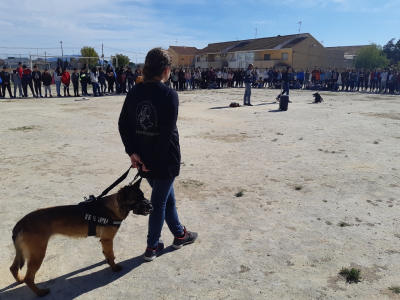 Fotoagrafía relacionada con la noticia, 