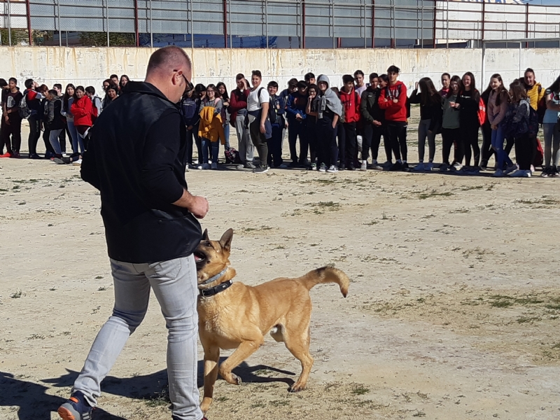 Fotoagrafía relacionada con la noticia, 