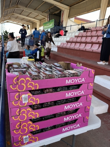 Fotoagrafía relacionada con la noticia, 