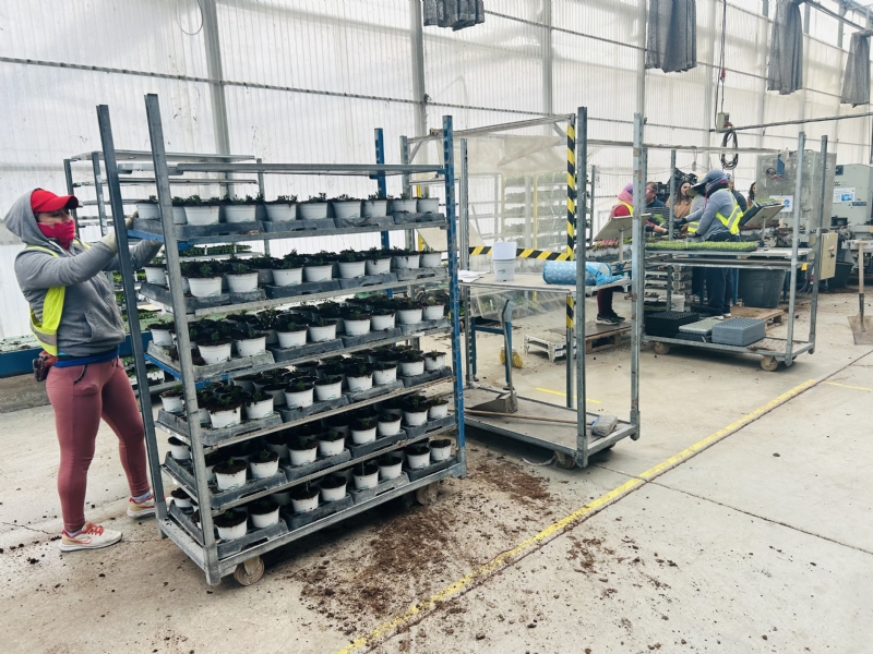 Fotoagrafía relacionada con la noticia, 