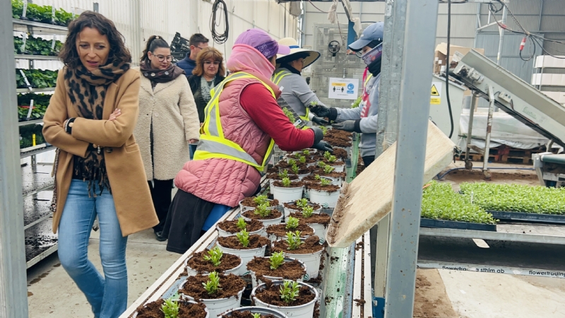 Fotoagrafía relacionada con la noticia, 