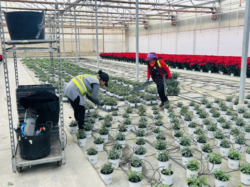 Fotoagrafía relacionada con la noticia, 