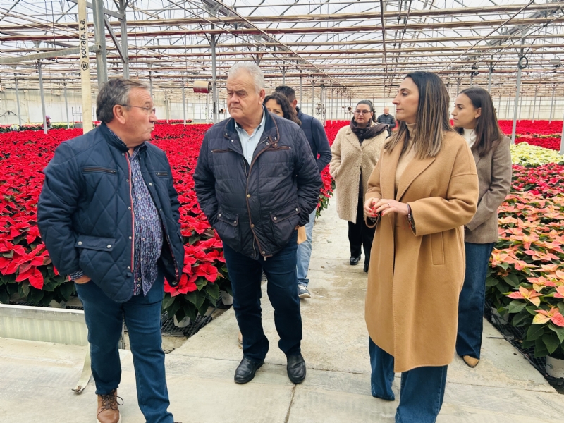 Fotoagrafía relacionada con la noticia, 