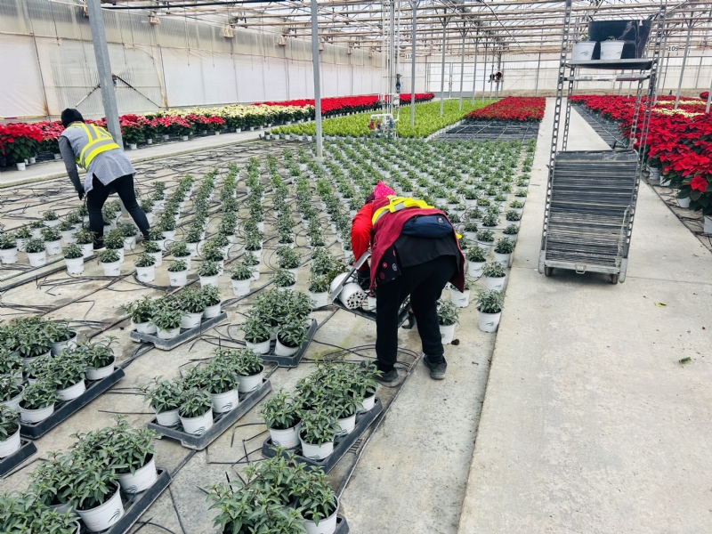 Fotoagrafía relacionada con la noticia, 