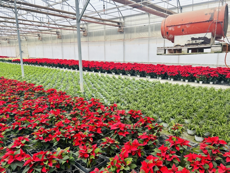 Fotoagrafía relacionada con la noticia, 