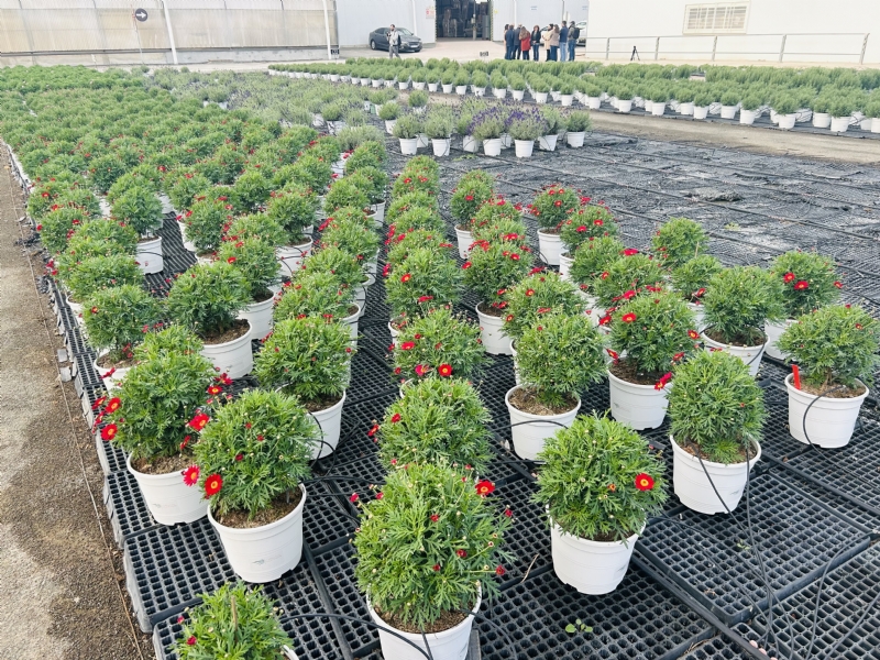 Fotoagrafía relacionada con la noticia, 