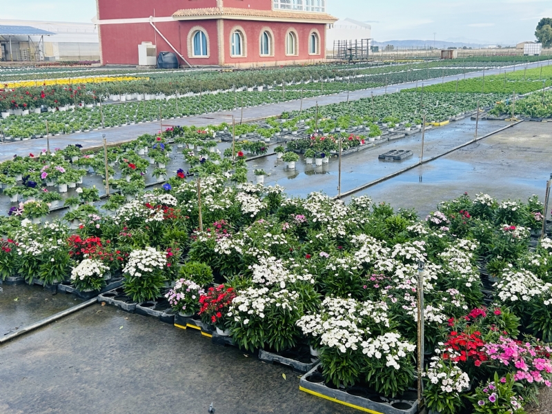 Fotoagrafía relacionada con la noticia, 