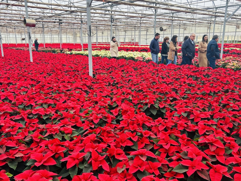 Fotoagrafía relacionada con la noticia, 