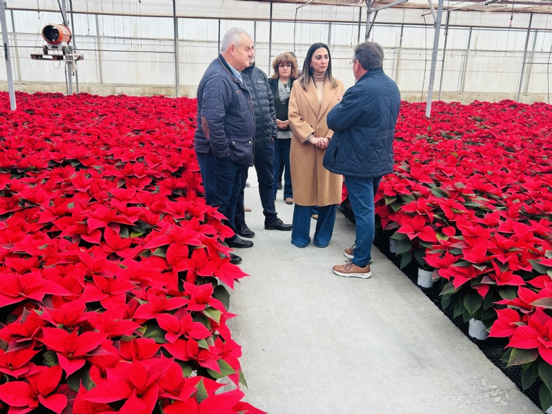 Fotoagrafía relacionada con la noticia, 