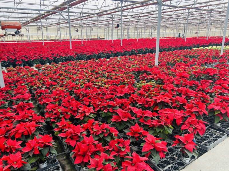 Fotoagrafía relacionada con la noticia, 